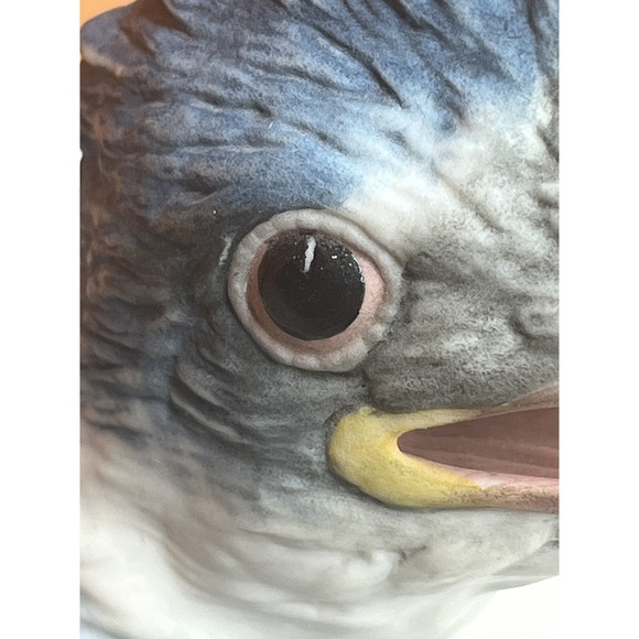 Vintage Boehm Porcelain Fledgling Kingfisher Bird #400-78 Made In USA - Picture 9 of 10